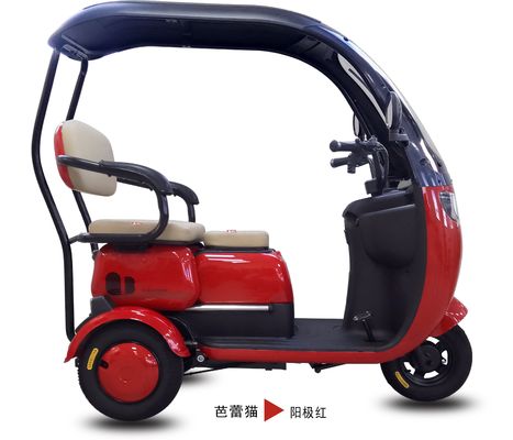 HH-SLBLM electric tricycle