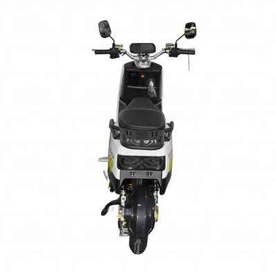 LY-GN20 Electric motorcycle