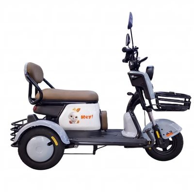 HH-SLA3 electric tricycle