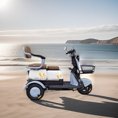 Safest 1000w 3 wheel tricycle electric adult with lithium battery