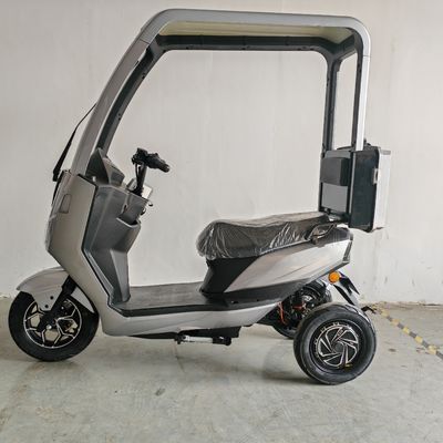 cheaper Racing Electric Motorcycle 3000W  OEM Motorcycle adult Electric tricycle
