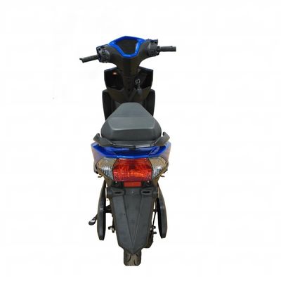 EEC COC 800w 1000w 2000W adult electric scooter electric motorcycle for Adult in india
