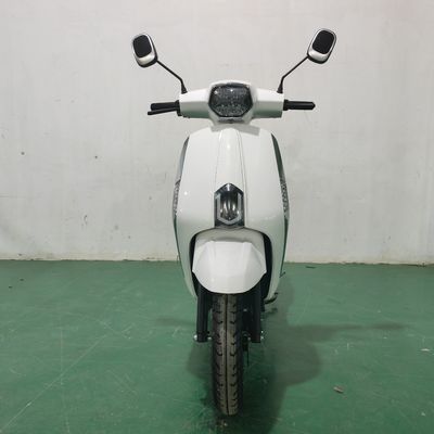 Custom exportSoutheast Asia selling electric vehicle passenger electric vehicle to foreign trade electric motorcycleHigh-speed electric vehicle